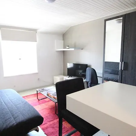 Apartment City Center - Kleber - Bookingalsace *