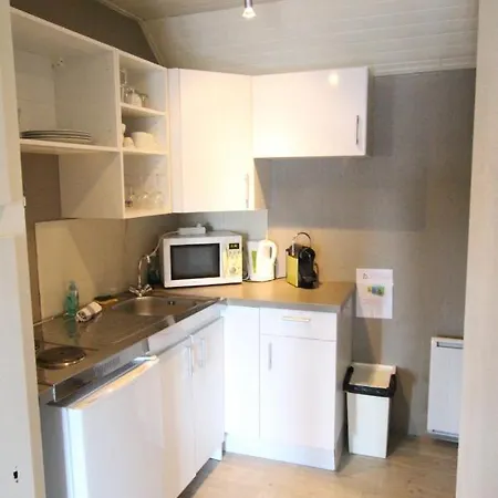 Apartment City Center - Kleber - Bookingalsace
